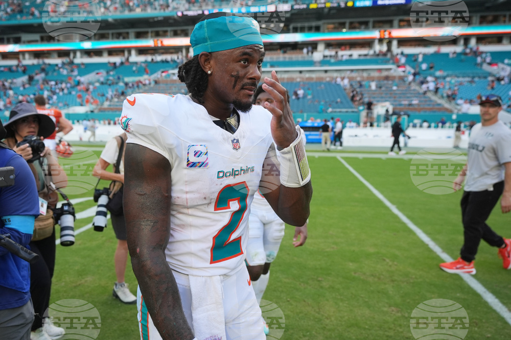 Bengals Dolphins Football