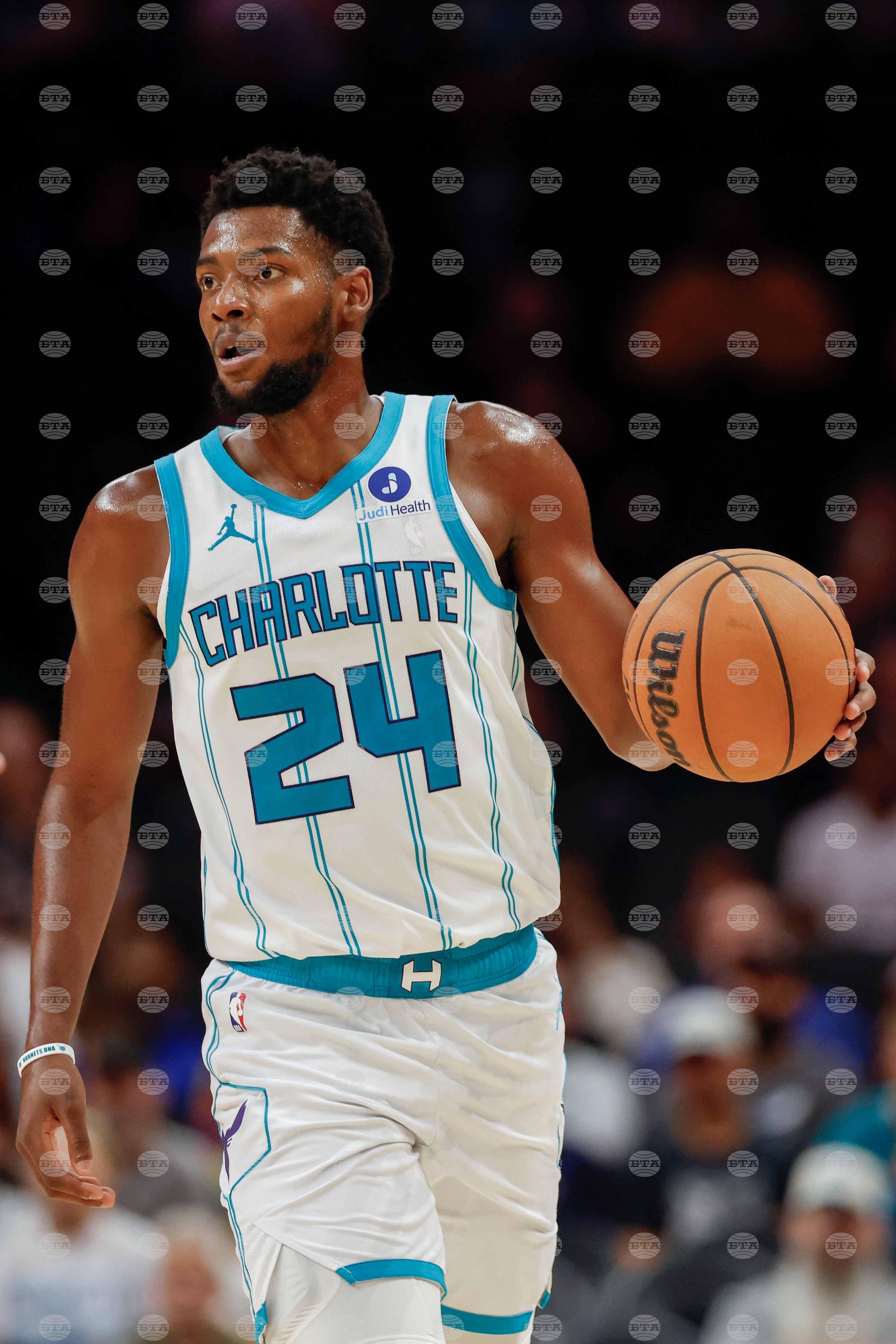 Bucks Hornets Basketball