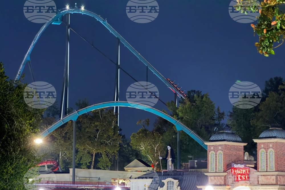 Roller Coaster Death