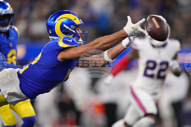APTOPIX Bills Rams Football