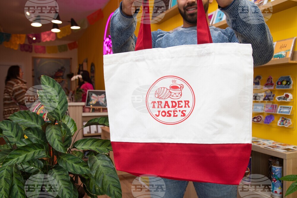 Latino Small Business Support