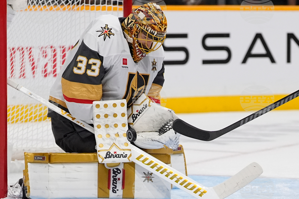 Golden Knights Predators Hockey