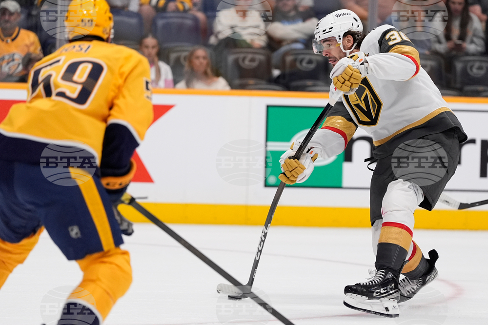Golden Knights Predators Hockey