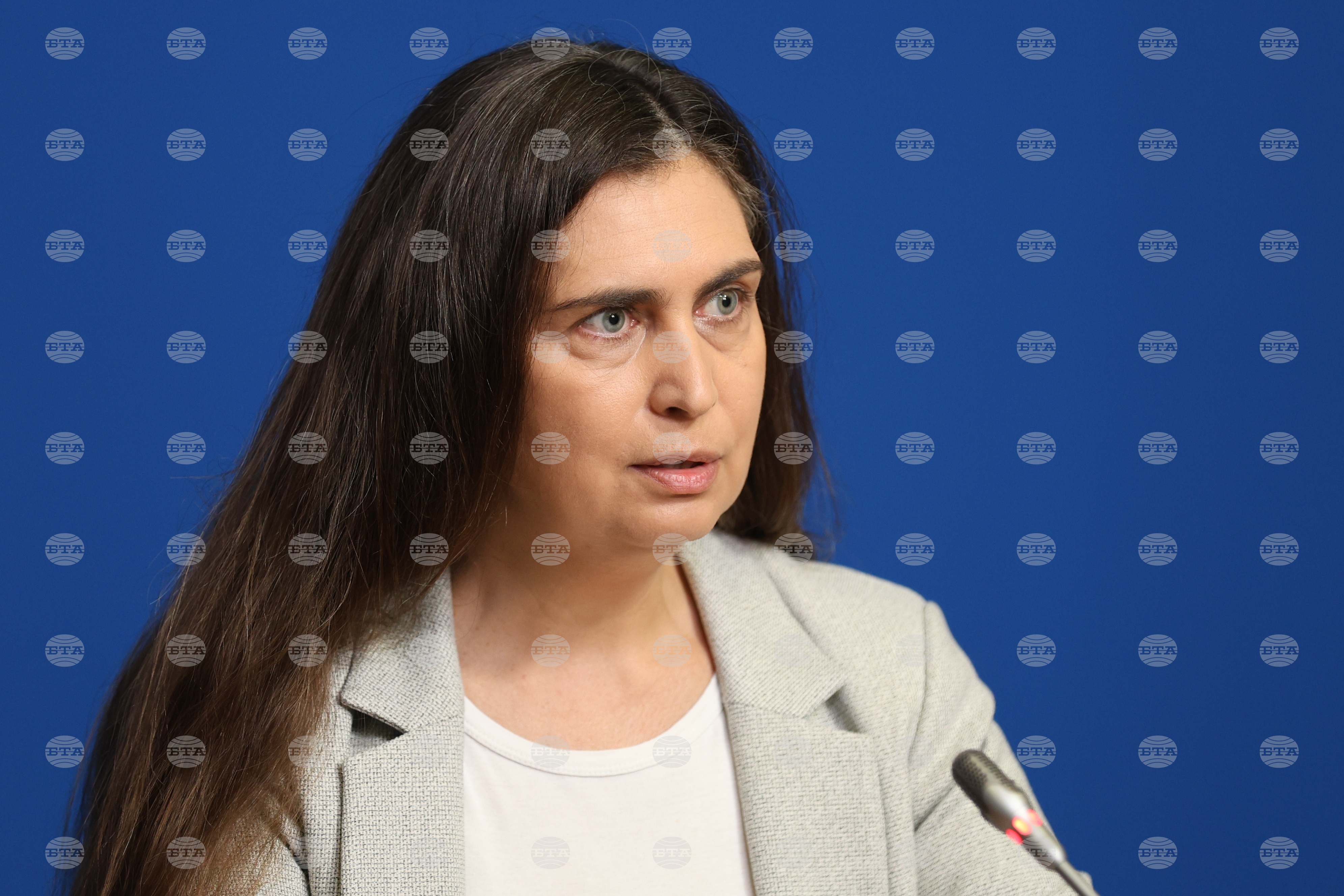 Българските национални отбори по науки спечелиха 103 медала през 2026 г., каза Елена Маринова