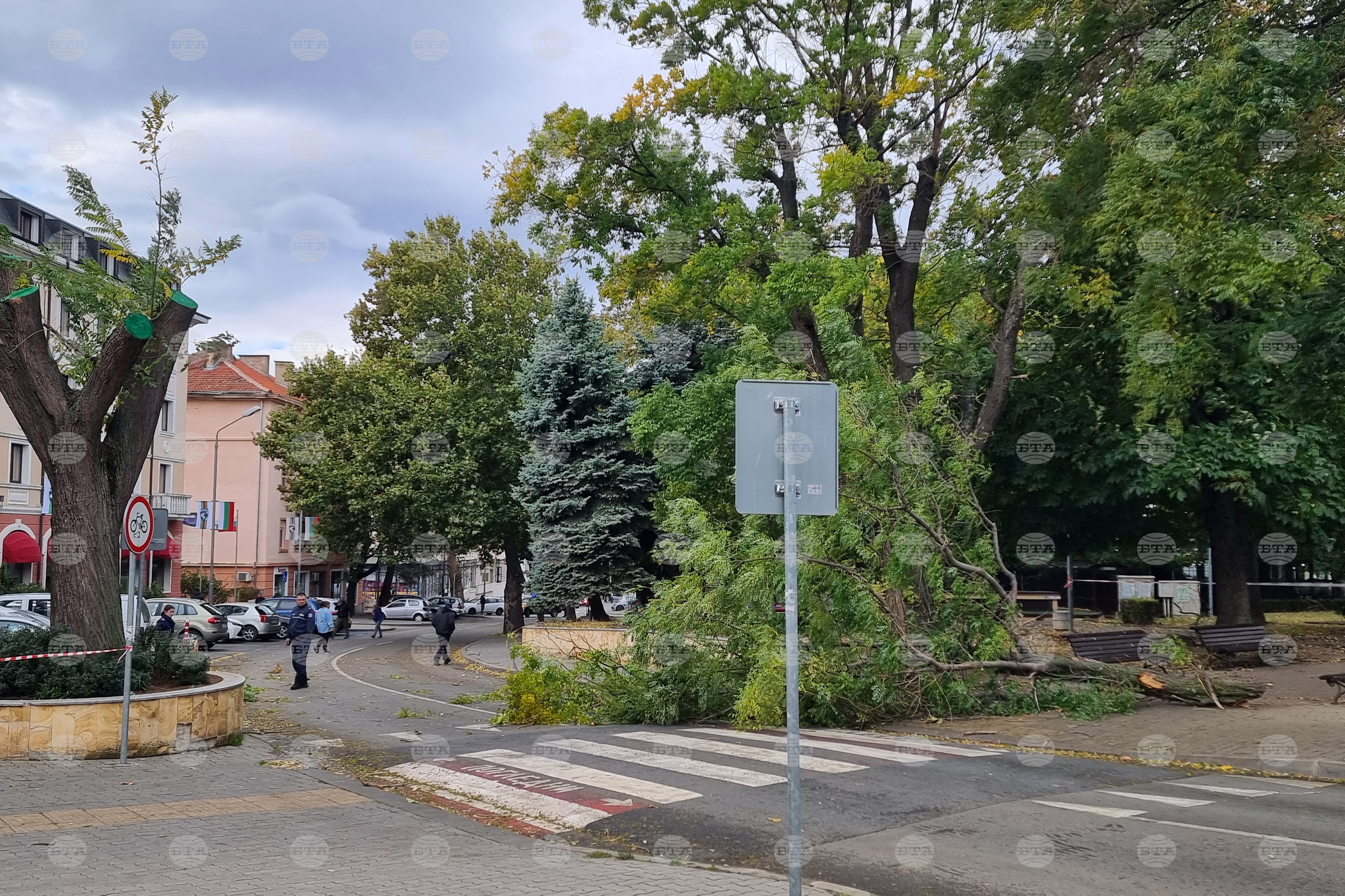 Кметът на Сливен разпореди аварийните екипи да работят без прекъсване заради силния вятър