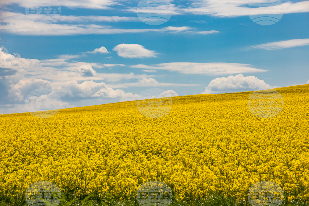 Бургас - рапицово поле - изглед