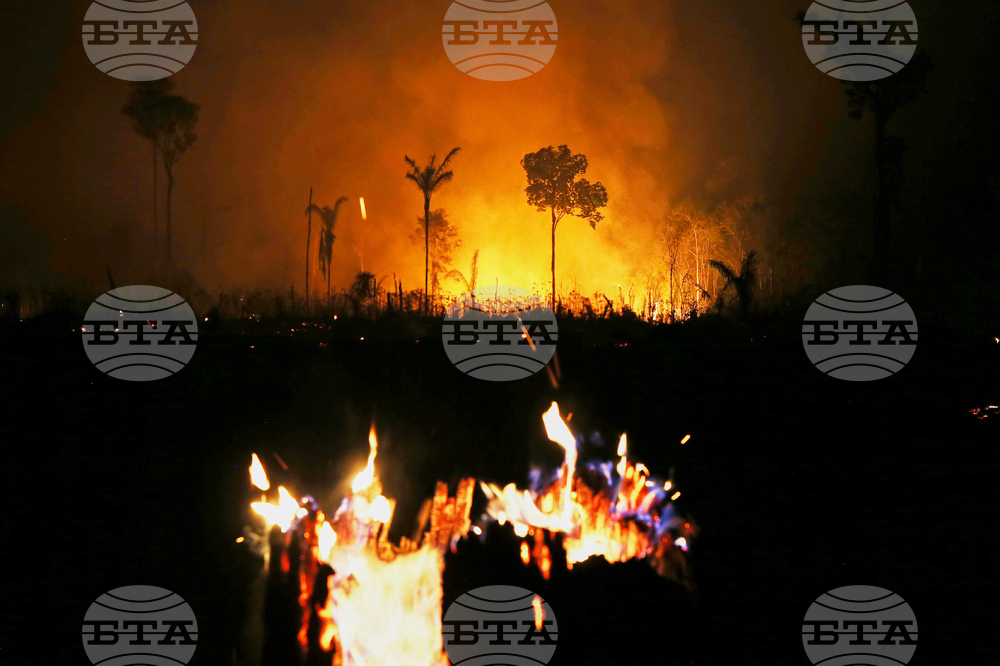 APTOPIX Brazil Wildfires