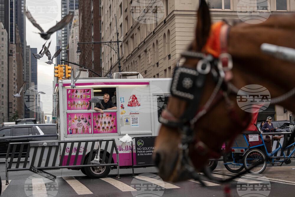 Central Park Horse Carriages