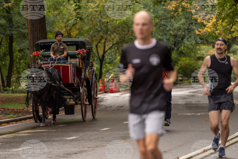 Central Park Horse Carriages