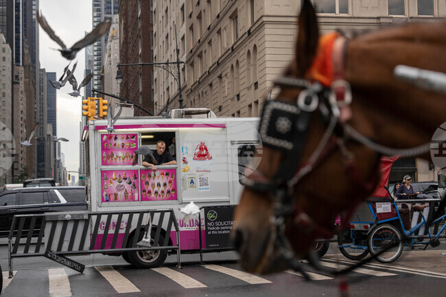 APTOPIX Central Park Horse Carriages