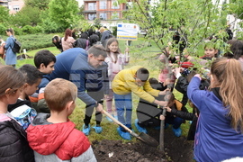 Хасково - Ден на Европа - залесяване