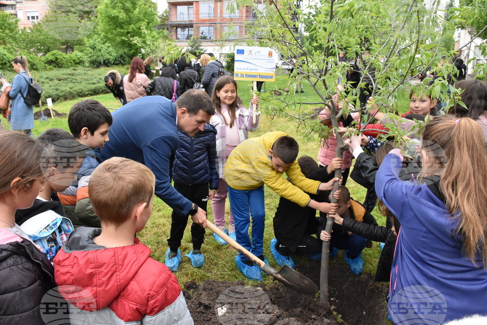 Хасково - Ден на Европа - залесяване