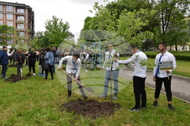 Хасково - Ден на Европа - залесяване