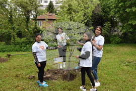 Хасково - Ден на Европа - залесяване