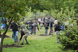Хасково - Ден на Европа - залесяване