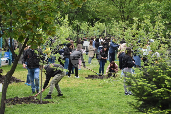 Хасково - Ден на Европа - залесяване