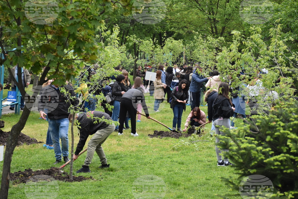 Хасково - Ден на Европа - залесяване