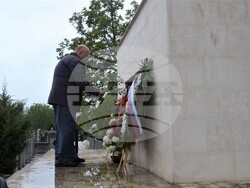 Снимка: Община Видин