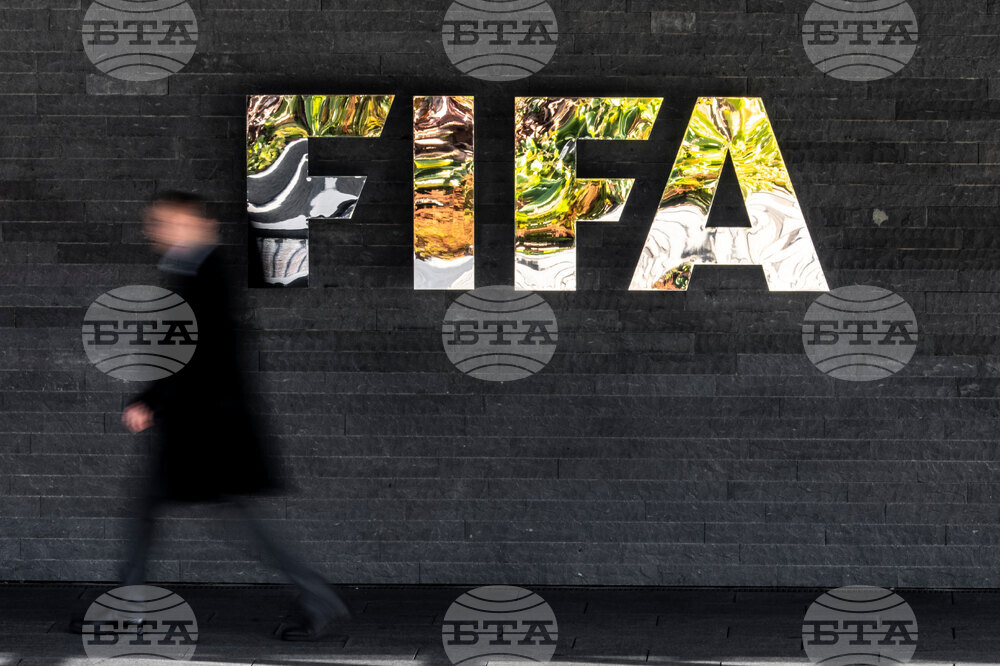Switzerland FIFA Council
