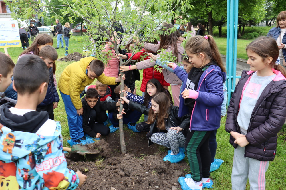 Община Хасково: В празничния 9 май – Ден на Европа, ученици от 18 училища засадиха дървета в Хасково