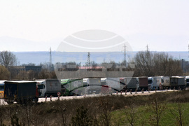 Видин - Дунав мост 2 - трафик