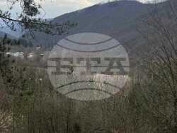 Снимка: Изпълнителна агенция по горите