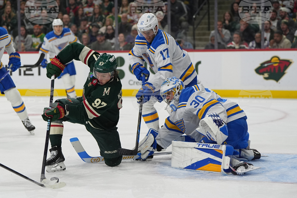 Blues Wild Hockey