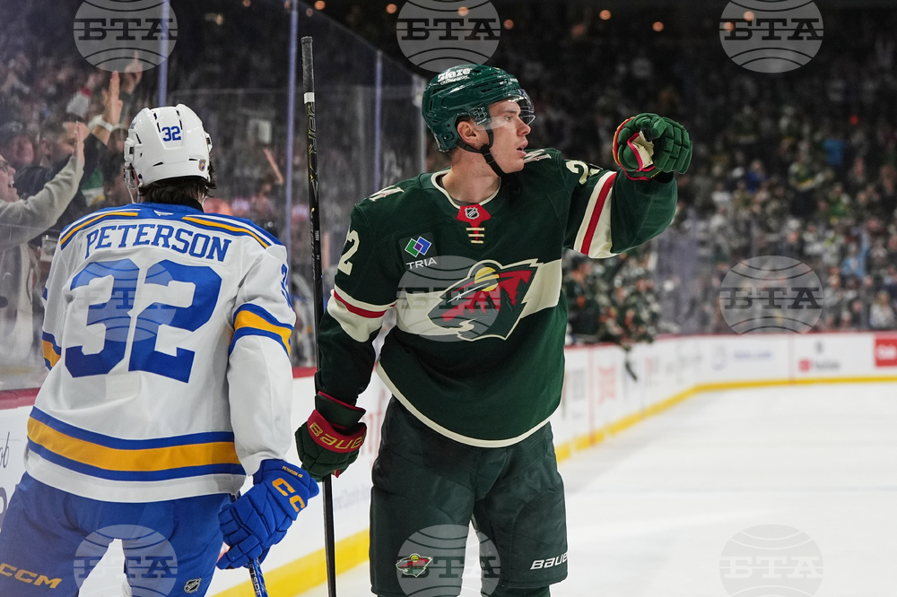 Blues Wild Hockey