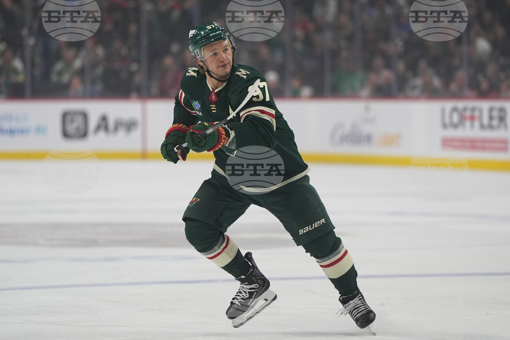 Blues Wild Hockey