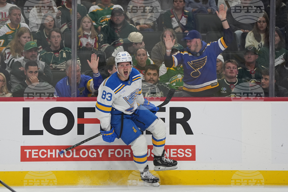 Blues Wild Hockey