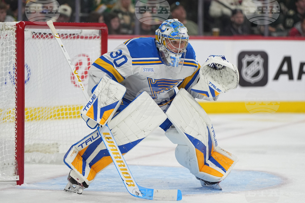 Blues Wild Hockey