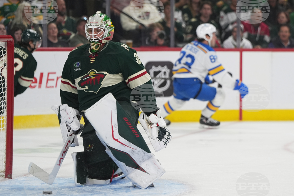 Blues Wild Hockey