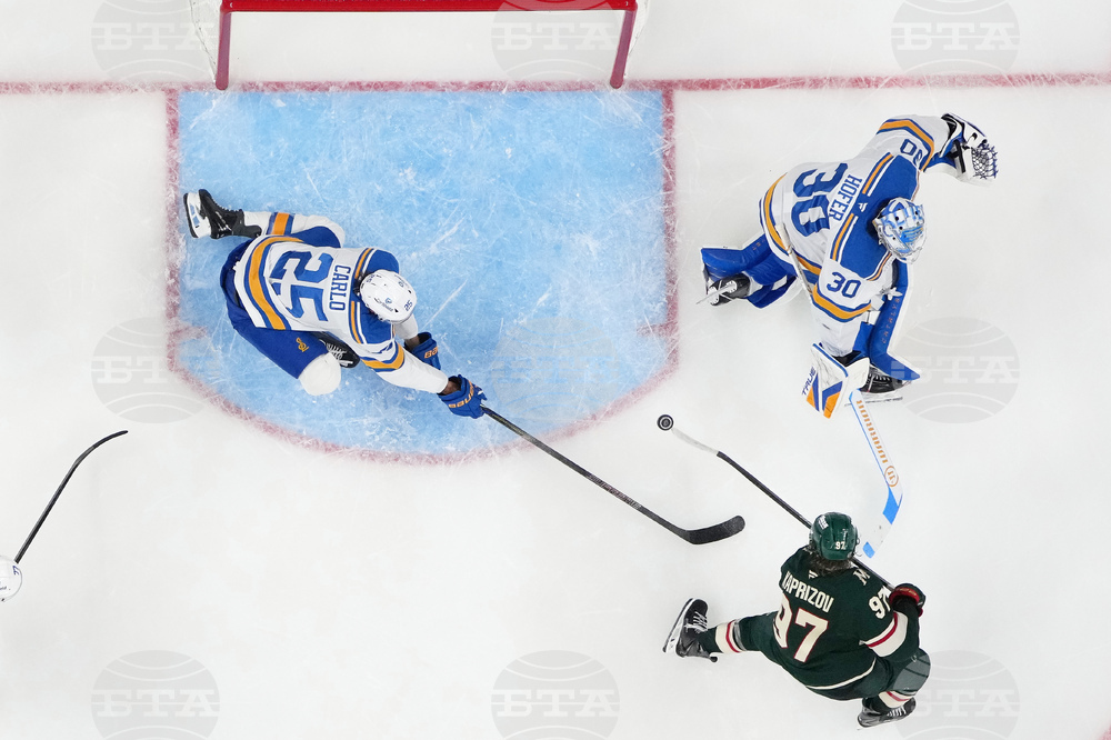 Blues Wild Hockey