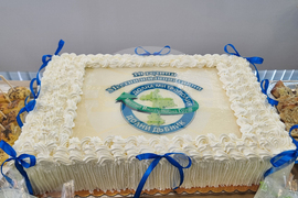 Село Рибен - Местна инициативна група „Долна Митрополия - Долни Дъбник“ - годишнина