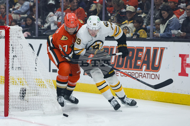 Bruins Ducks Hockey