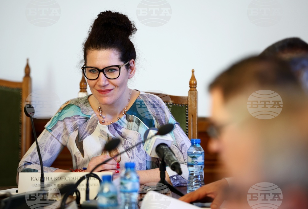 Комисия за прякото участие на гражданите и взаимодействието с гражданското общество - Калина Константинова