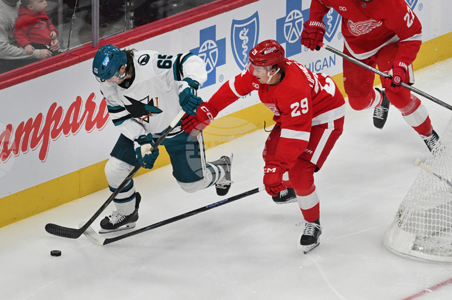 Sharks Red Wings Hockey