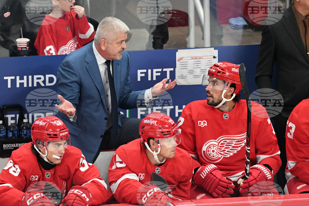 Sharks Red Wings Hockey