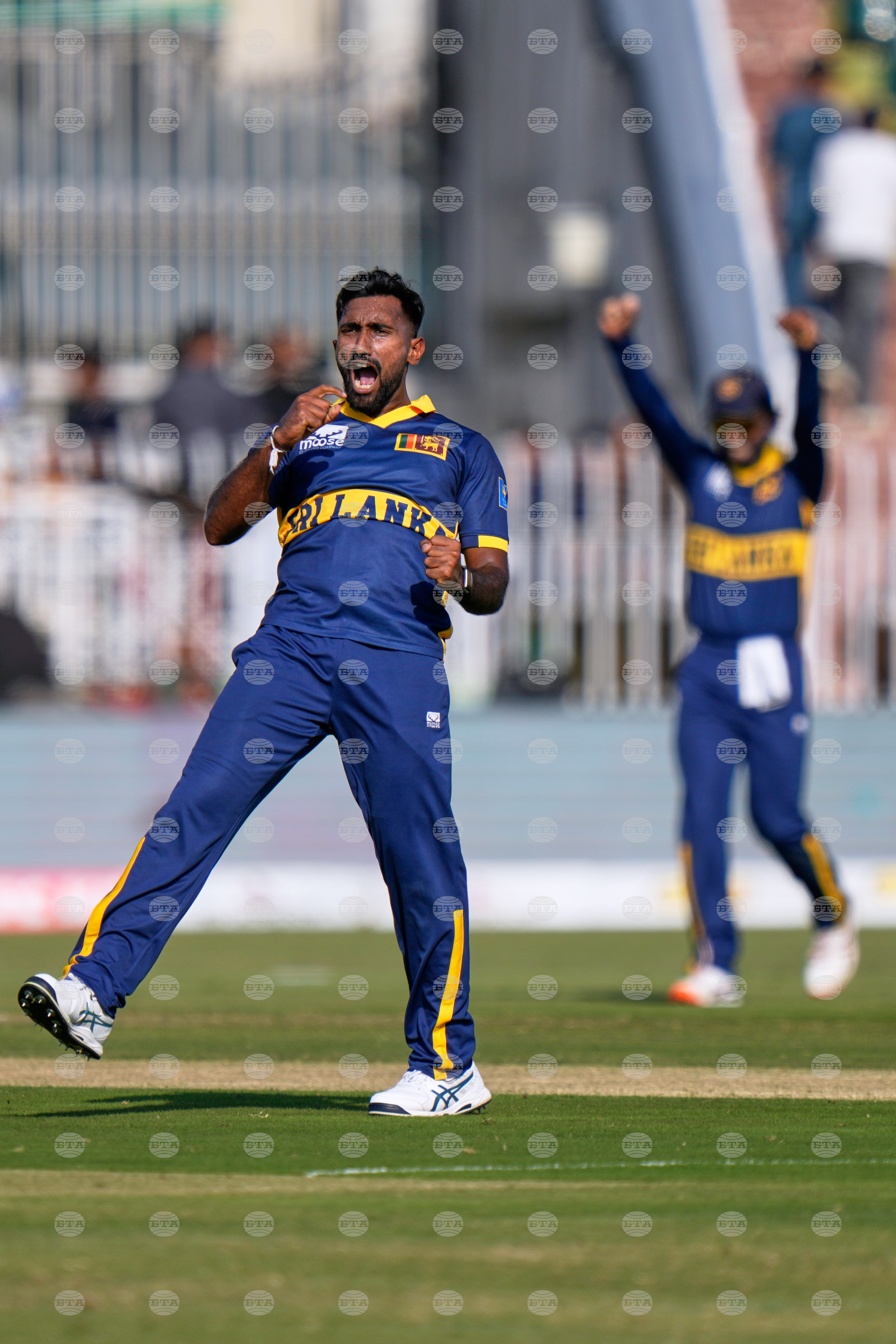 Pakistan Tri-Series Cricket
