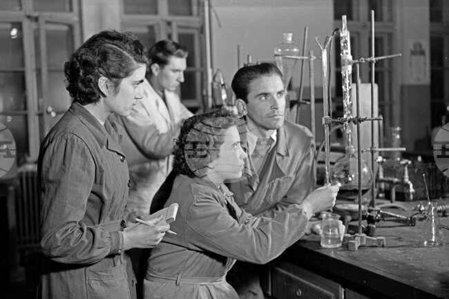 Ден на химика