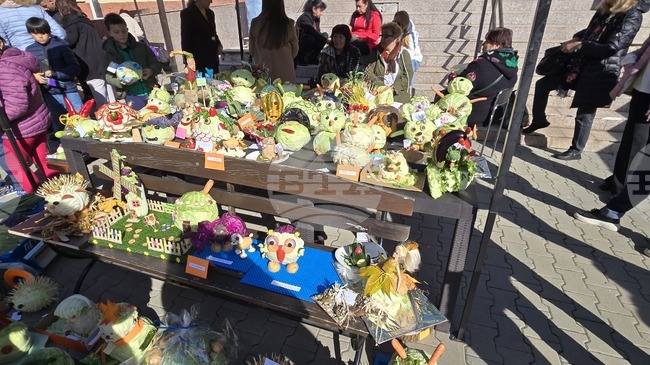 8 Kg Cabbage Wins Contest at Petarch Festival