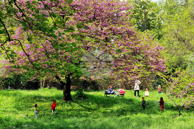 Варна - eжедневие