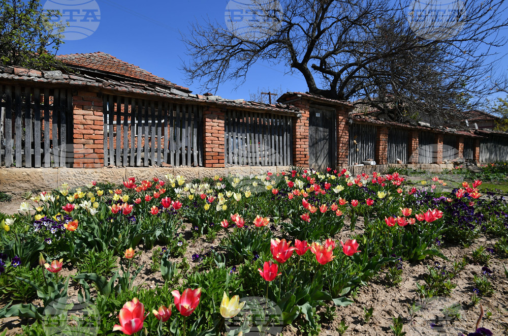 Село Малко Йонково - цветя