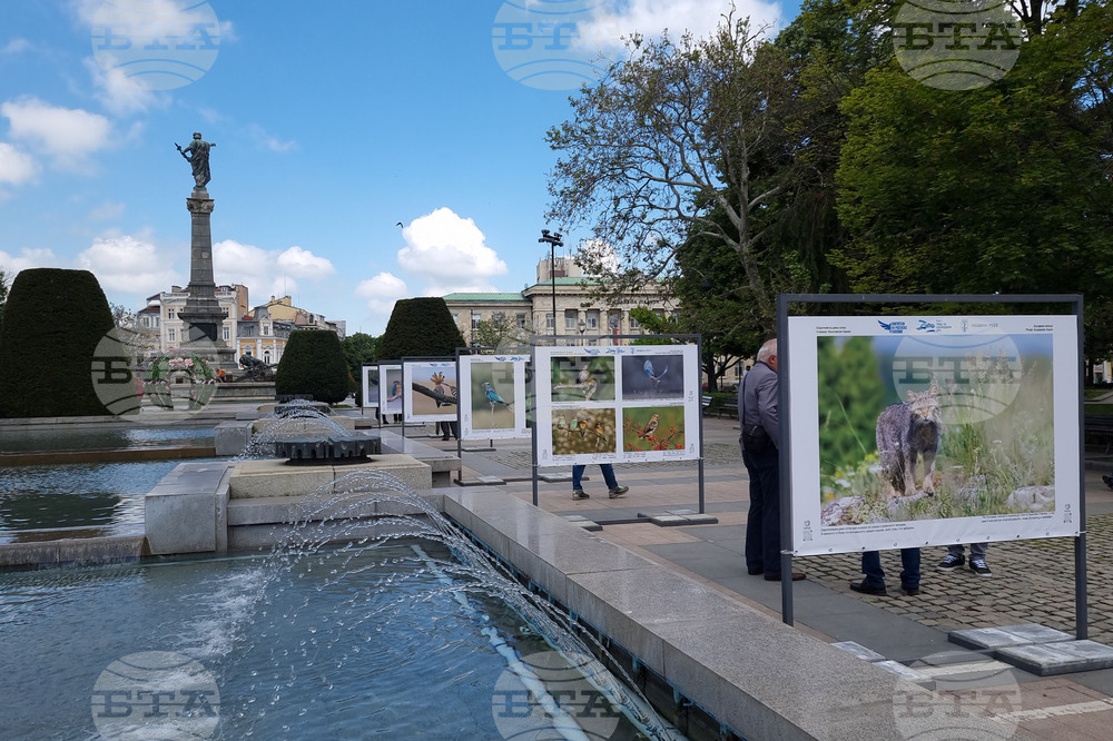 Фотографи представиха в изложба обитателите на Русенското Поломие