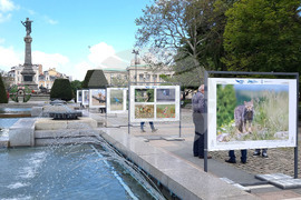 Русе - "Обитателите на Русенското Поломие" - изложба