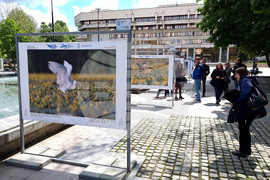 Русе - "Обитателите на Русенското Поломие" - изложба