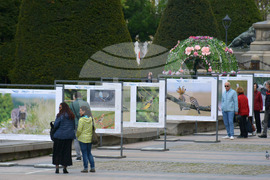 Русе - "Обитателите на Русенското Поломие" - изложба