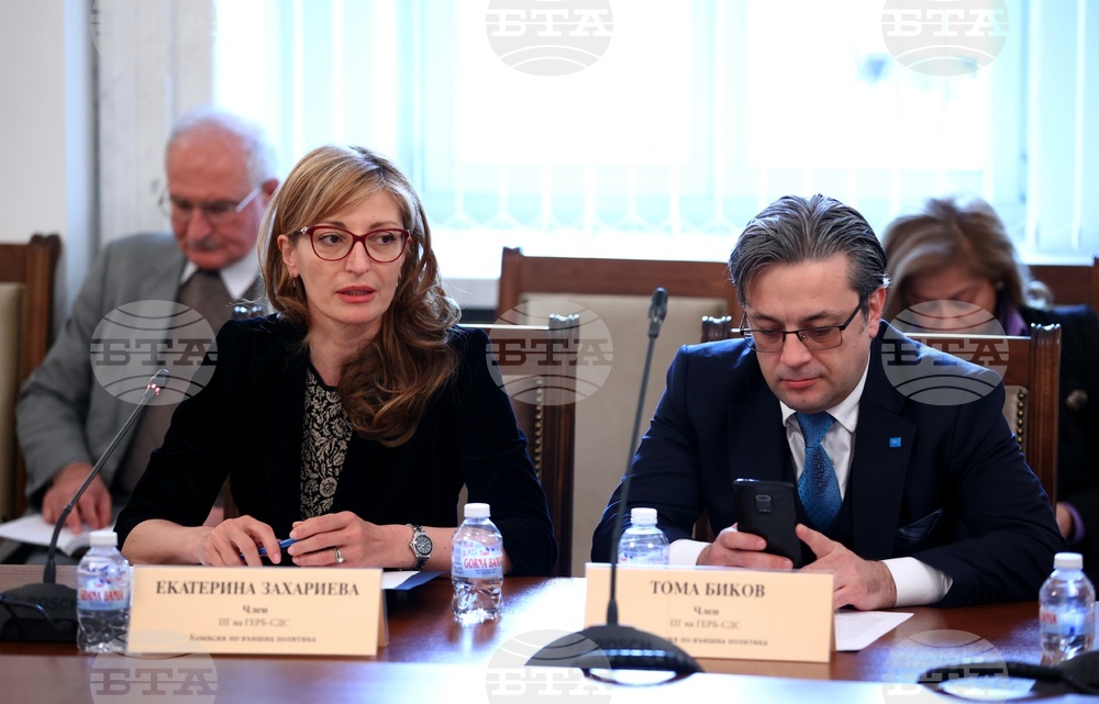 Парламент - Комисия по външна политика