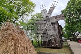 Румъния - Национален музей на селото „Димитрие Густи“