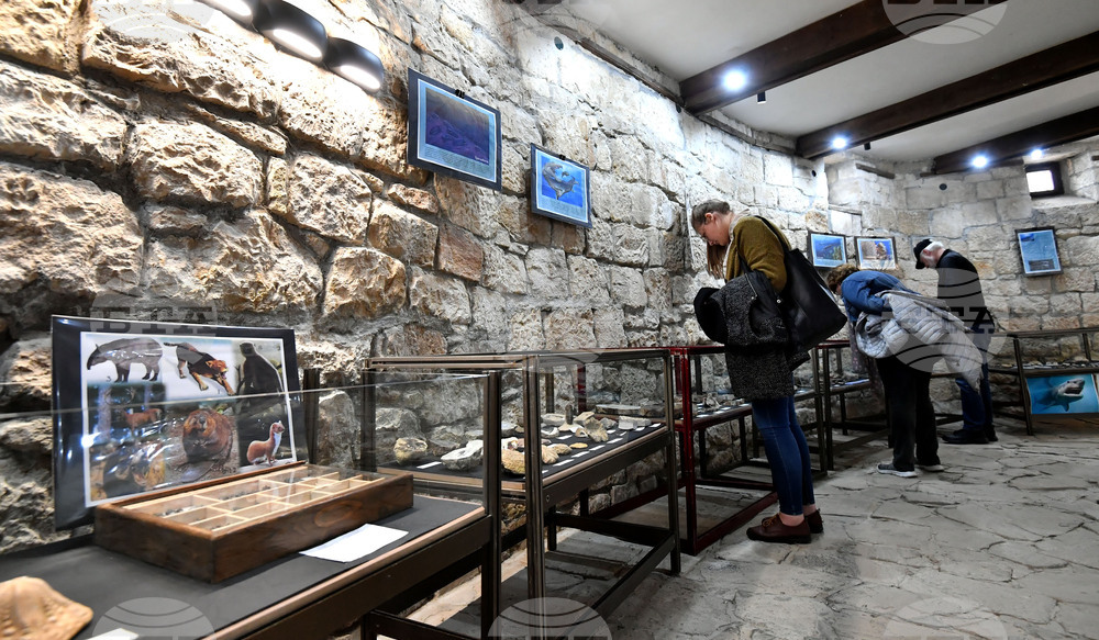 Разград - изложба "Фосили"